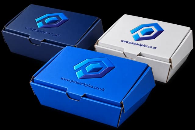 Loaded takeaway boxes — ProPack Plus Manchester